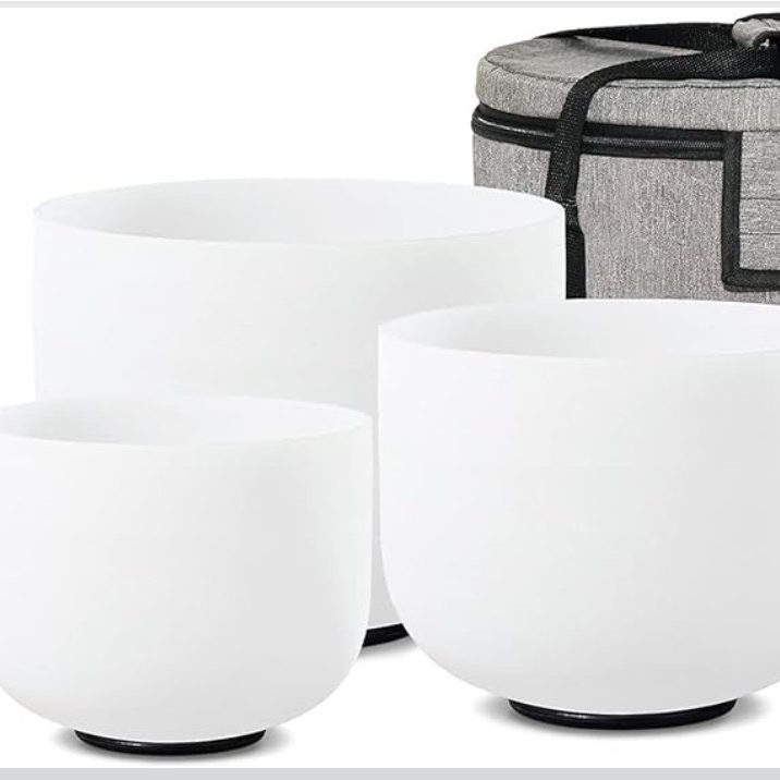 Three white singing bowls of varying sizes beside a grey carrying case.